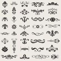 A large set of ornamental design elements vector
