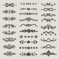Set of vintage decorative elements, calligraphic design elements, decorative elements, decorative elements, decorative vector