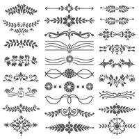 Set of decorative elements for design, illustration vector
