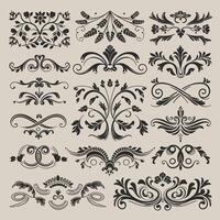 Set of vintage design elements, calligraphic elements, decorative elements, decorative elements, decorative elements vector