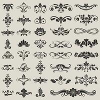 A large set of ornamental design elements vector