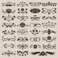 Set of vintage design elements, calligraphic elements, decorative elements, floral elements, scroll elements vector