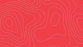 abstract pattern with lines. background of the topographic map. futuristic wireframe landscape background. vector
