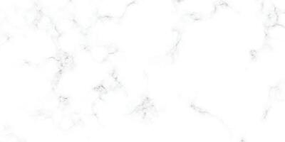 Panoramic white background form marble stone texture for design. Elegant with marble stone slab texture background. Soft white marble. vector