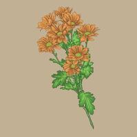 A vibrant bouquet of orange chrysanthemums with green leaves, arranged against a beige background. vector