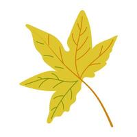 Autumn colored leaf of maple tree in hand drawn flat style. illustration isolated on white background for t shirt graphics, printouts. Simple botanical clipart vector