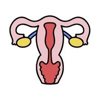 the uterus is shown in a flat style vector