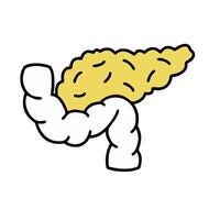a cartoon liver with a white background vector