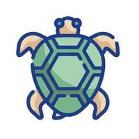 A turtle icon on a white background vector