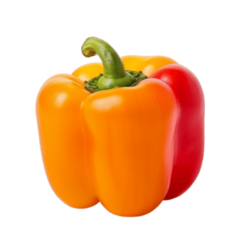 frisch Gelb und rot Glocke Pfeffer auf transparent Hintergrund png