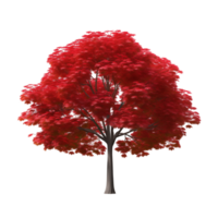 Vibrant Red Maple Tree with Lush Leaves in Full Bloom Isolated Against a White Background png
