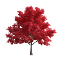 Vibrant Red Maple Tree With Dense Foliage On Transparent Background png