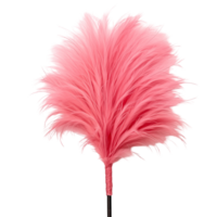 Pink Feather Duster With Fluffy Feathers Isolated On A Transparent Background png