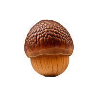 Close-Up Of A Brown Acorn With Detailed Textured Cap And Smooth Shell png