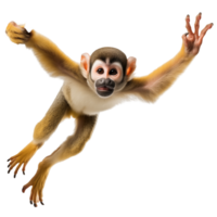 Playful Squirrel Monkey Hanging From A Branch On Transparent Background png