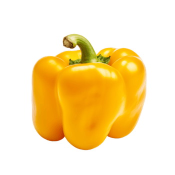 Single frisch Gelb Glocke Pfeffer mit Grün Stengel auf transparent Hintergrund png