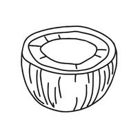 Coconut in doodle style. , on a white background vector