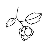 Berry on a branch in doodle style. illustration, on a white background vector