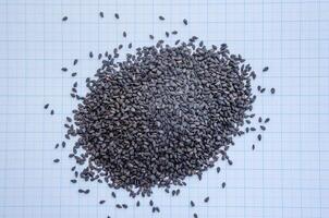 black sesame seeds in a heap on a background of graph paper photo
