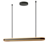 Linear Pendant Light front view full length isolate on transparency background png