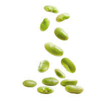 Falling Lima Beans isolate on transparency background png