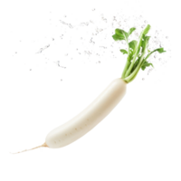 Falling Daikon isolate on transparency background png