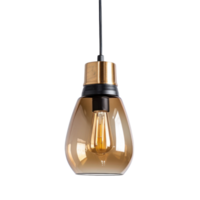 Mini Pendant Light front view full length isolate on transparency background png