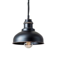 Mini Pendant Light front view full length isolate on transparency background png