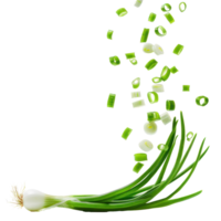 Falling Green Onions isolate on transparency background png