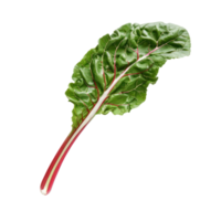 Falling Chard isolate on transparency background png
