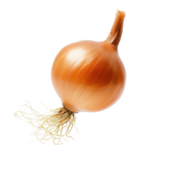 Falling Onion isolate on transparency background png