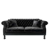 Tuxedo Sofa front view full length isolate on transparency background png