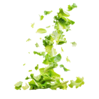 Falling Butter Lettuce isolate on transparency background png