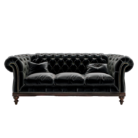 Tuxedo Sofa front view full length isolate on transparency background png