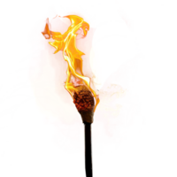 Burning torch on transparency background png