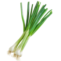 Green Onions, clipping path isolate on transparency background png
