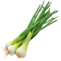 Piece of Green Onions isolate on transparency background png