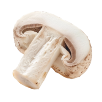 Piece of champignon mushrooms isolate on transparency background png