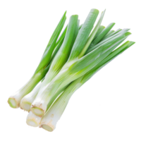 Falling Leeks isolate on transparency background png