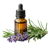 Essential Oil with Sprigs of Fresh Rosemary front view isolate on transparency background png