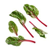 Falling Chard isolate on transparency background png