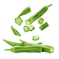 Falling Okra isolate on transparency background png