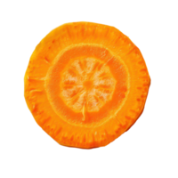 Carrot Slice top view isolate on transparency background png