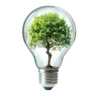 Tree light bulb isolate on transparency background png
