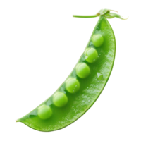 Piece of Snap Sugar Peas isolate on transparency background png