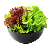 Green and Red Leaf Lettuce in a bowl front view isolate on transparency background png
