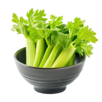 Celery in a bowl front view isolate on transparency background png