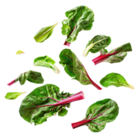 Falling Chard isolate on transparency background png