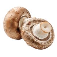 whole and half champignon mushrooms isolate on transparency background png