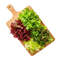 Sliced Green and Red Leaf Lettuce on chopping board top view isolate on transparency background png